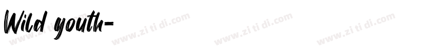 Wild youth字体转换